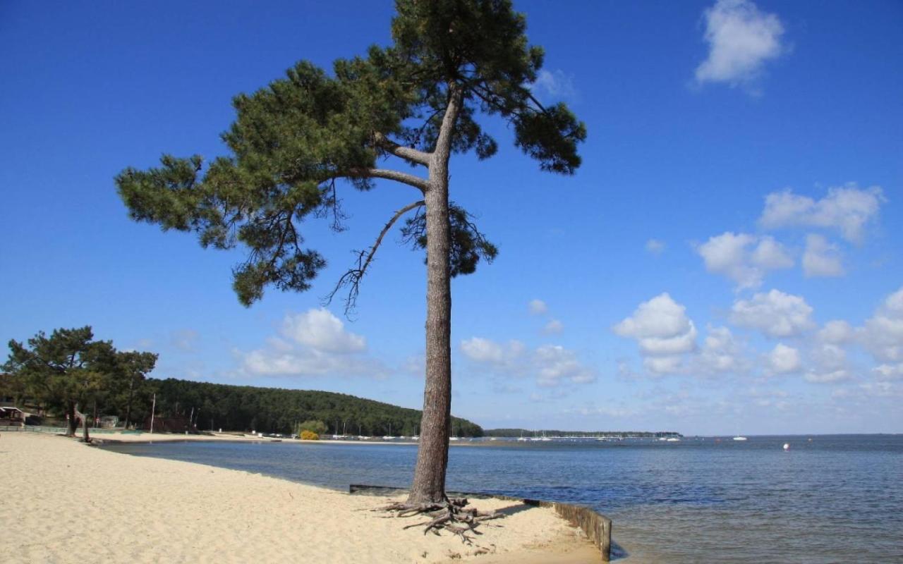 Maison Piscine 4 Ch Carcans Medoc Bassin Arcachon Bagian luar foto