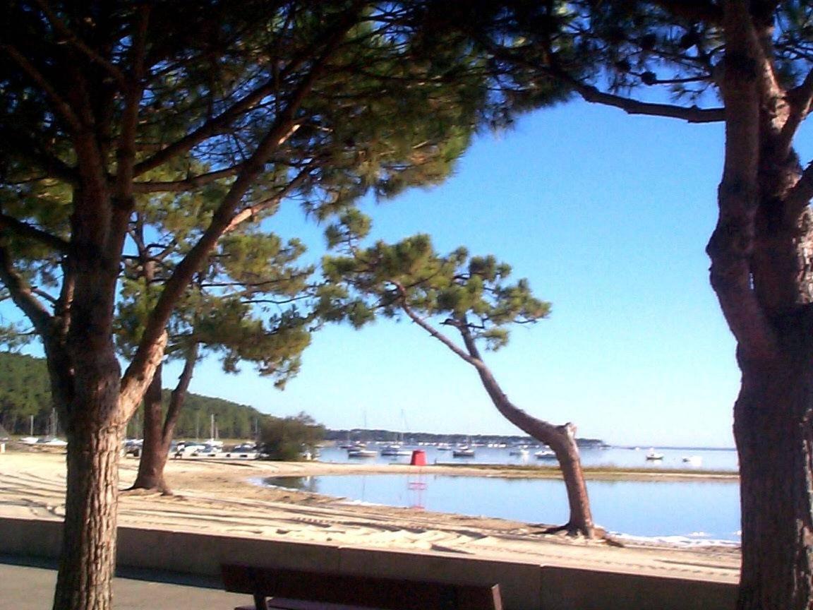 Maison Piscine 4 Ch Carcans Medoc Bassin Arcachon Bagian luar foto