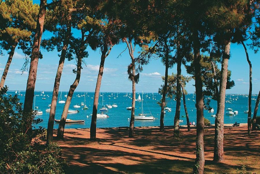 Maison Piscine 4 Ch Carcans Medoc Bassin Arcachon Bagian luar foto